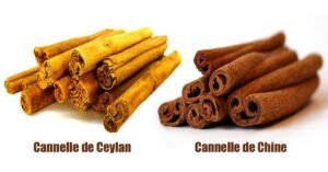 Cannelle de Ceylan et Cannelle de chine