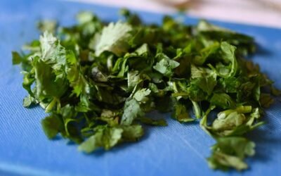 Coriandre fraîche : l’ingrédient magique pour vos recettes