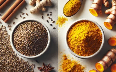 Cumin et curcuma : quelles sont les différences ?