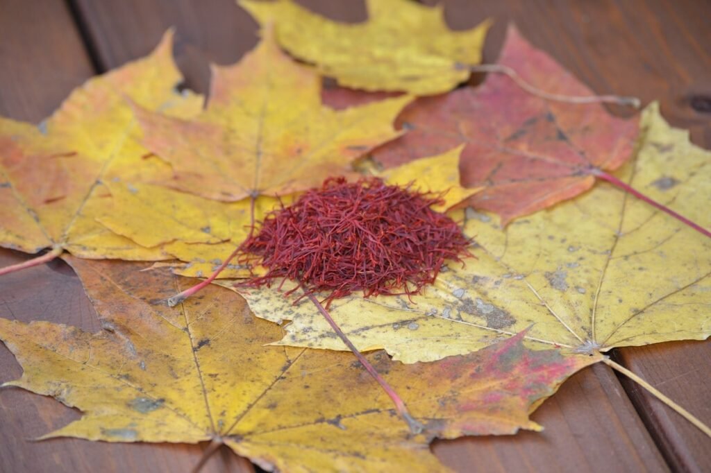Safran sur des feuilles